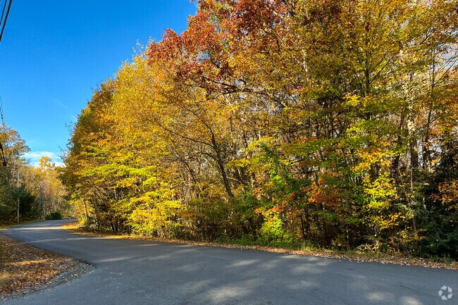 Roads in the Hollis neighborhood are quiet.