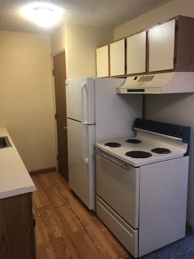 171 Spring St unit Spring St. Batavia, Batavia, OH 45103 - photo 7