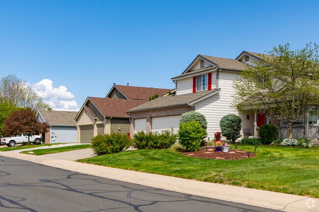 New traditional homes sit on tree-lined streets in Ridgewood Hills.