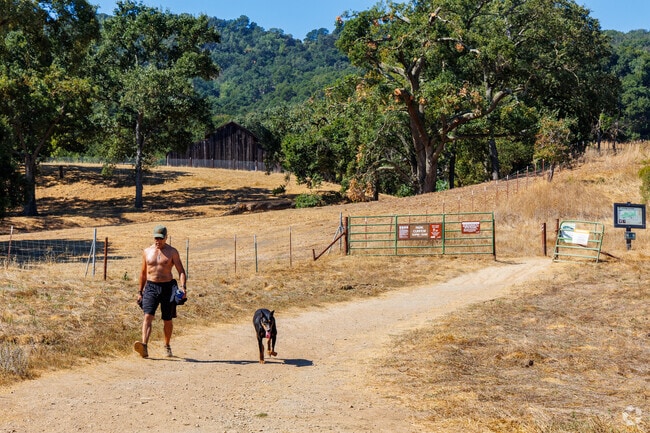 Residents can explore the natural beauty of Pleasanton on the Castleridge Trail.