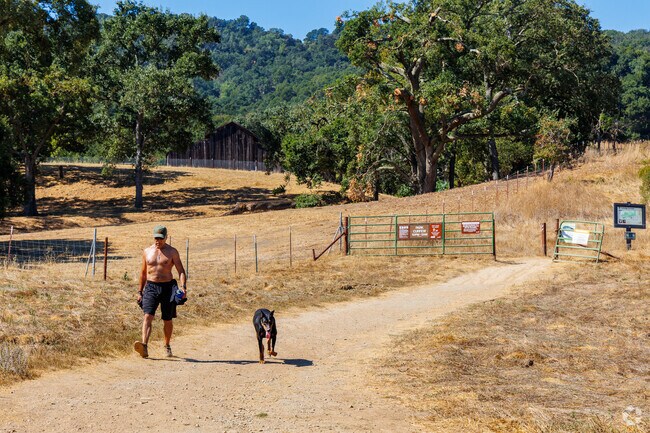 Residents can explore the natural beauty of Pleasanton on the Castleridge Trail.
