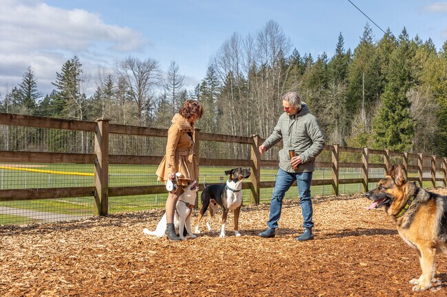 Folks love to take their dogs to the Beaver Lake Dog Park near Klahanie for some exercise.