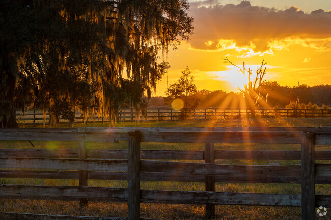 Enjoy the gorgeous sunsets of Central Florida in Dunnellon.