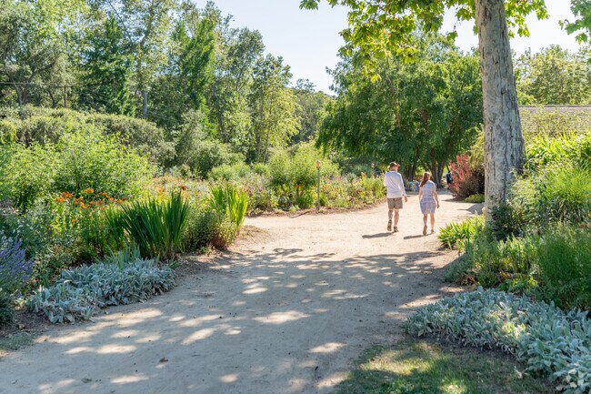 There is beauty around every corner as you walk through the Descanso Gardens.