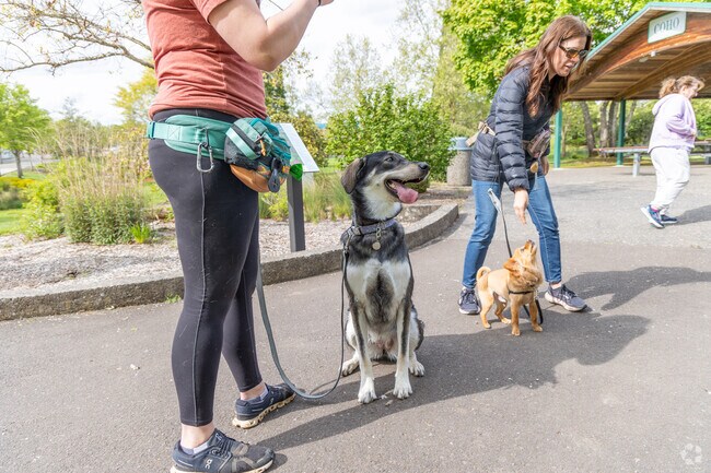 Wag-N-Walk groups dog walking and training event in Main City Park, Gresham.