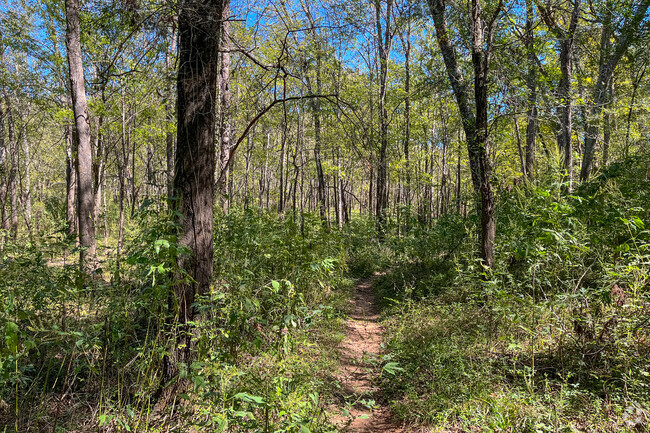 Take a hike in the woods and enjoy nature in Mooringsport-Brian.