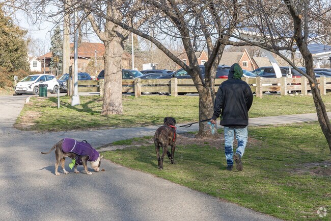 Briarwood residents like taking a peaceful walk with the dogs in Forest Park.
