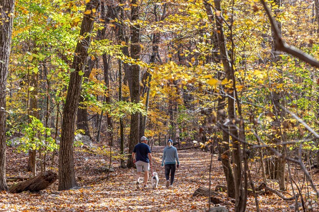 Residents of Winchester Highlands enjoy the changing color leaves at Middlesex Fells Trails.