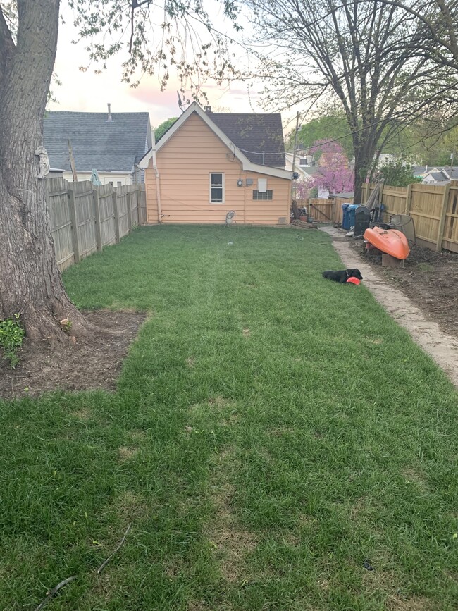 Fenced-In Backyard