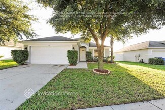 2618 Buckhorn Preserve Blvd, Valrico, FL 33596