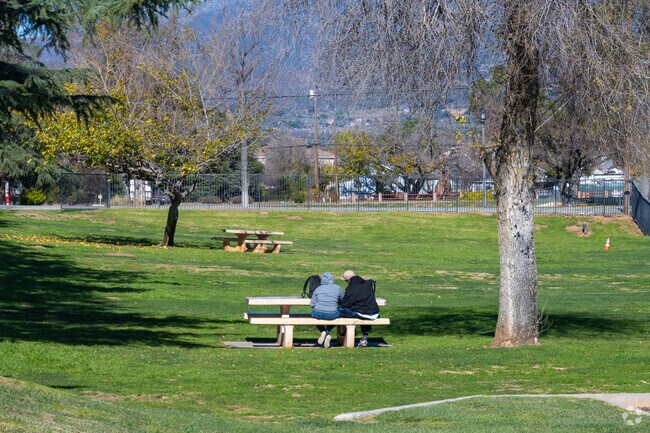 Enjoy a perfect day out with friends and family at Stewart Park in Beaumont City.