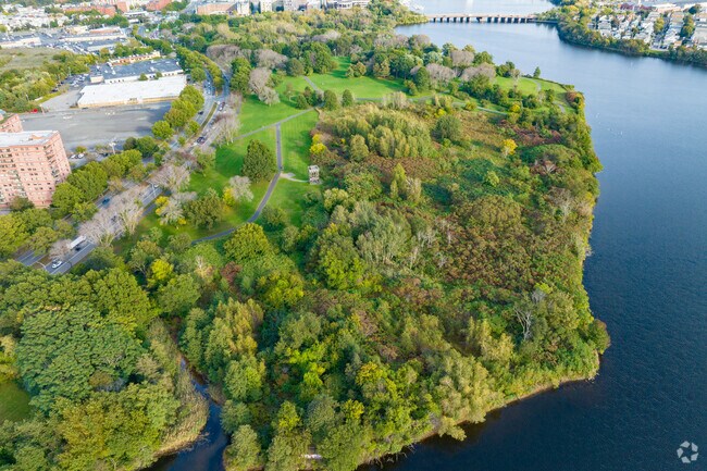 Experience some nature by running, biking, or walking through the MacDonald Park in Wellington.