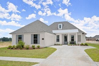 37400 Cattle, Prairieville, LA 70769