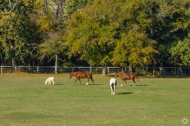 Some Aubrey residents live on ranch properties with several acres for horses to roam.