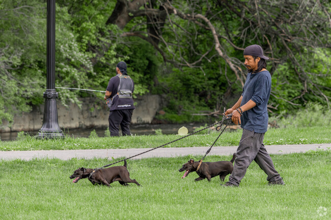 You'll love taking the dogs for a walk in The 6th Ward.