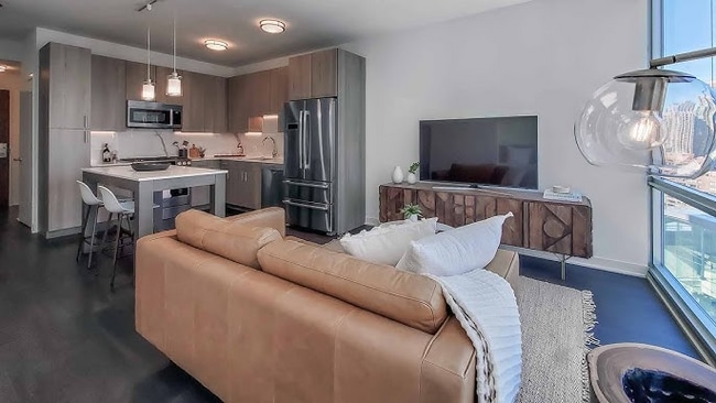 455 N New St, Chicago, IL 60611 - photo 3