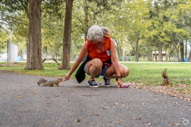 A woman feeds the friendly squirrels at Tambrella Park in Santa Fe.