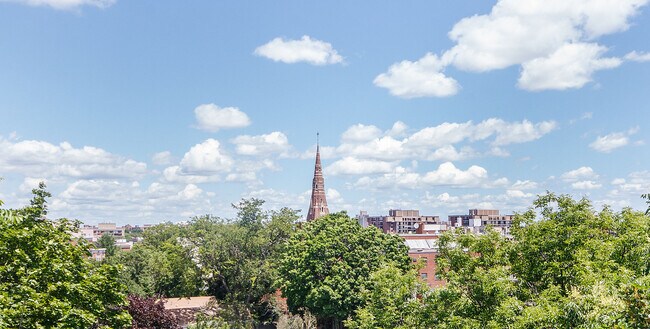 31 Harris St, Brookline, MA 02446 - photo 6