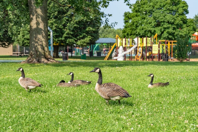 Lincoln Park in Vassor Village offers 15 acres of green space.