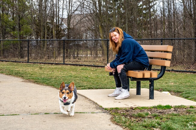Spindler Road Dod Park near Sweetwater has different areas for large and small dogs.