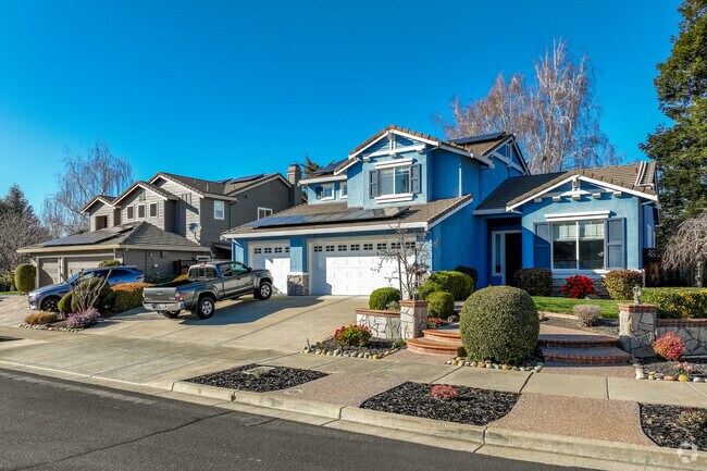 Coventry houses have evergreen bushes in the gardens and beautiful trees along the streets.