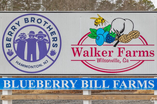 Turn down almost every street in Hammonton to find a fresh blueberry farm.