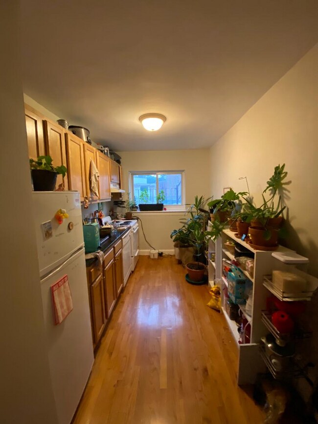 61 Selkirk Rd unit 1, Brighton, MA 02135 - photo 4