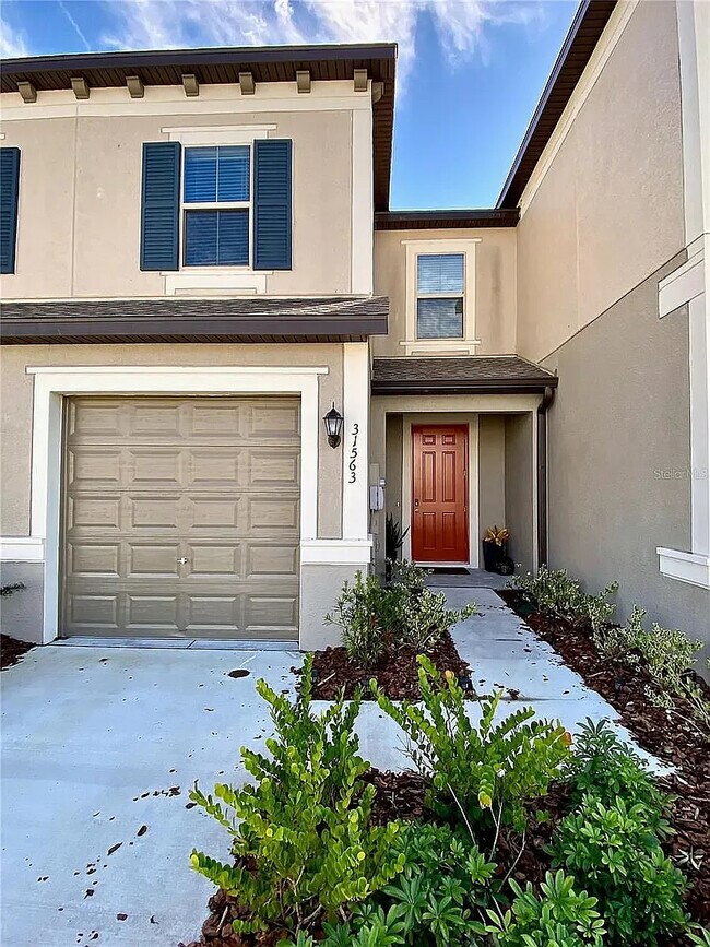 31563 Blue Passing Loop, Wesley Chapel, FL 33545