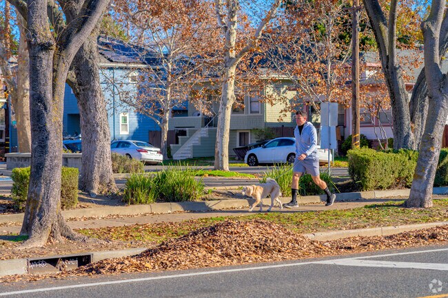Sidewalks are plentiful in Newton Booth.