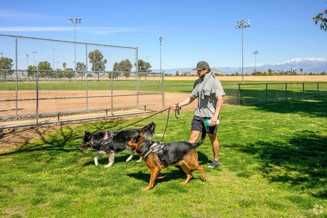 A man strolls with his dogs through the open green space in North Perris, enjoying the fresh air and serene surroundings of the spacious, dog-friendly area.
