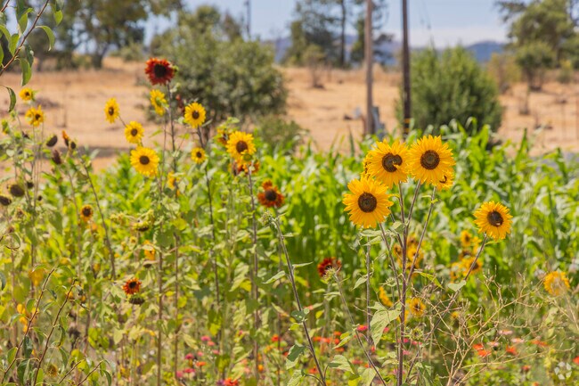 Deer Park is at its heart a farming town, and comes to life in the spring and summer.