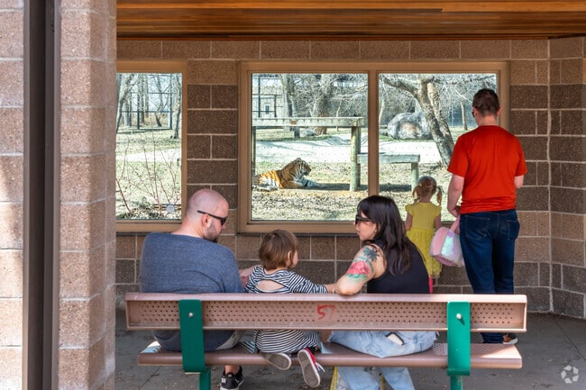 Patrons can see a variety of zoo animals, including tigers, at the Dakota Zoo near Wachter.