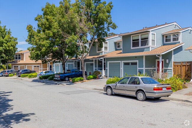 Attached Townhomes rest in the valley of Marin City.