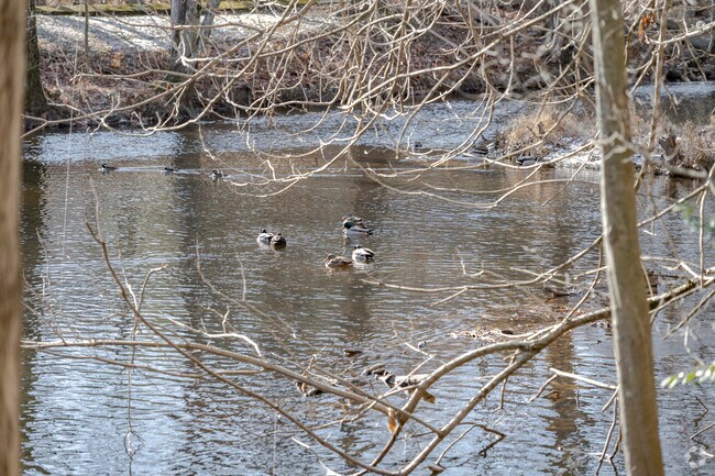 Residents come to walk the trails and see the wildlife at Perry's Mill Ponds in Fairfield.