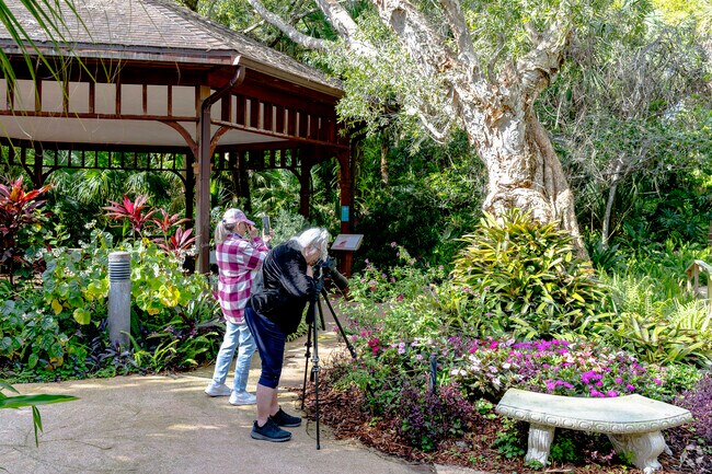 Ormond Memorial Gardens provides a beautiful backdrop for photos in Ormond Terrace.