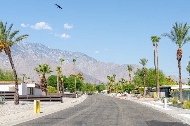 A peak down a typical residential road in the Desert Park Estates.