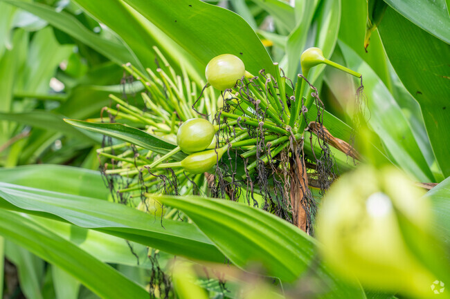 Silver Shores is surrounded by lush greenery, creating a peaceful environment.