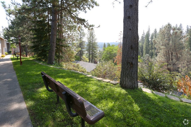 Berryhill, Grass Valley, CA 95945 - photo 6