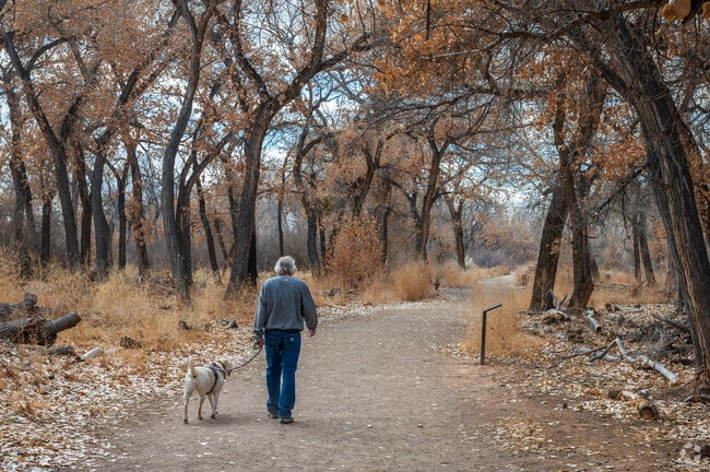 The Rio Rancho Bosque Preserve in Algodones is a great spot for spending time outdoors.