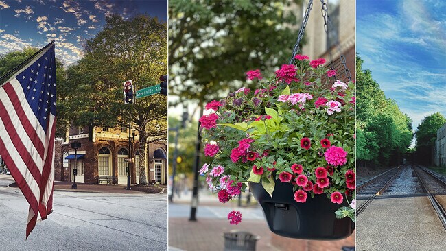 73 White Spruce Way, Newnan, GA 30265 - photo 3