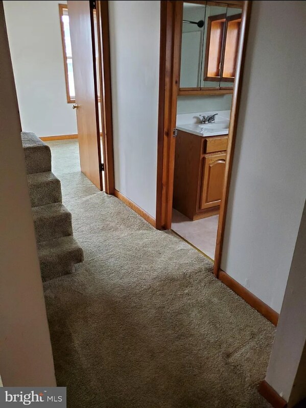 600 N 2nd St, Minersville, PA 17954 - photo 6