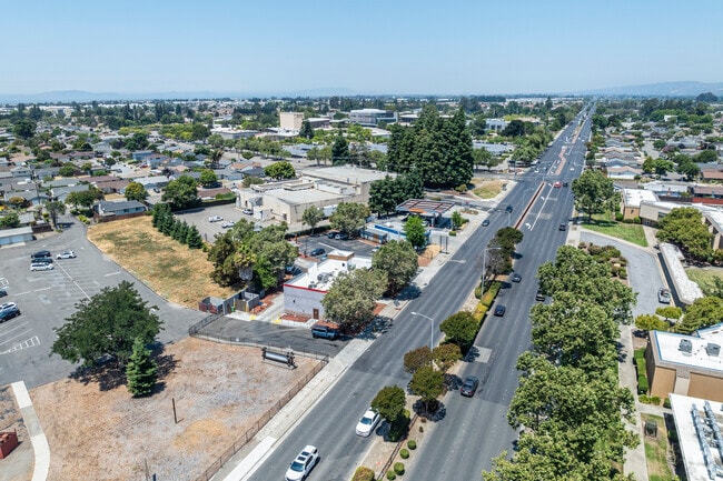 Mount Eden's main thoroughfare, Hesperian Blvd., has many businesses and restaurants.