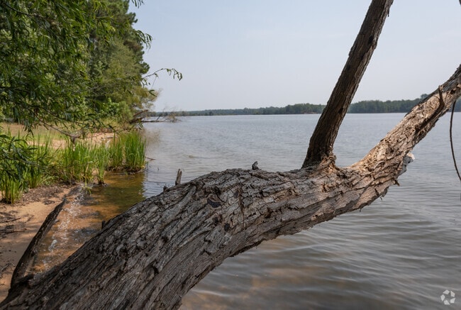 Locals find great fishing at Harris Lake County Park, only 10 minutes from Holly Springs.