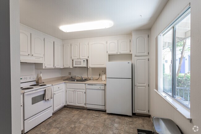 Sherwood and Forest Arms Apartments, Davis, CA 95616 - photo 4