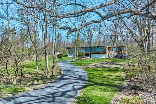 Modern homes, nestled among oak and yellowwood trees, are a common site in Barton Hills.