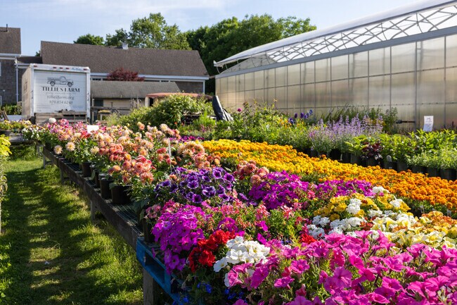 Tillie's Farm Stand is a neighborhood staple in South Peabody.