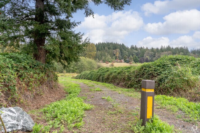 Go for a scenic hike at Queen Mountain Park in King Mountain