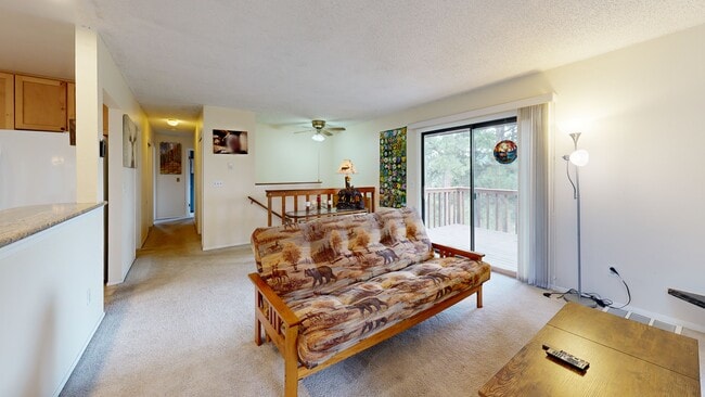 9629 Fallen Rock Rd, Conifer, CO 80433 - photo 3