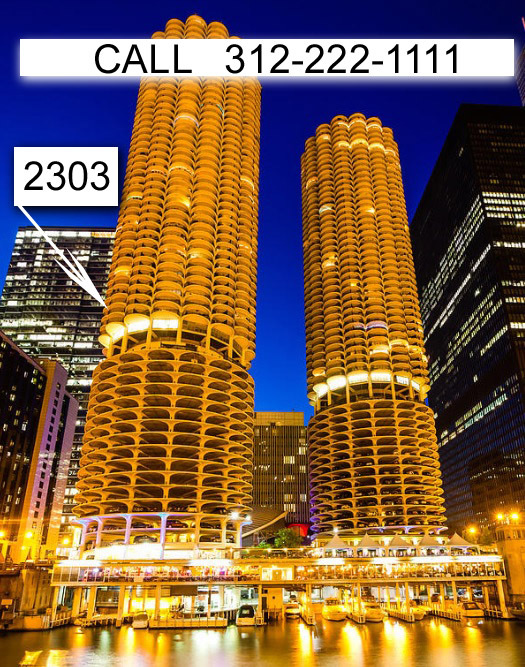 300 N State St Unit 2302, Chicago, IL 60654