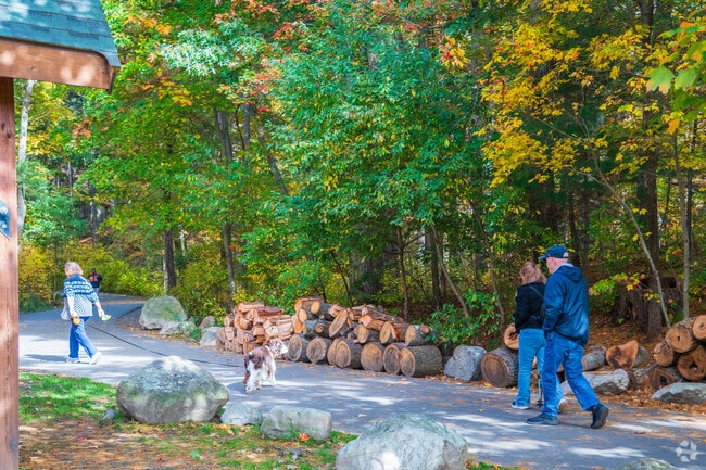 There's nothing but smiles for those journeying along the paved paths at Breakheart Reservation near Downtown Saugus.
